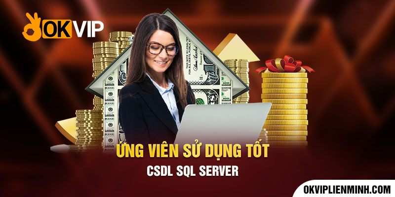 Ứng viên sử dụng tốt  CSDL SQL Server