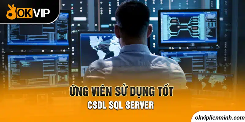 Ứng viên sử dụng tốt  CSDL SQL Server