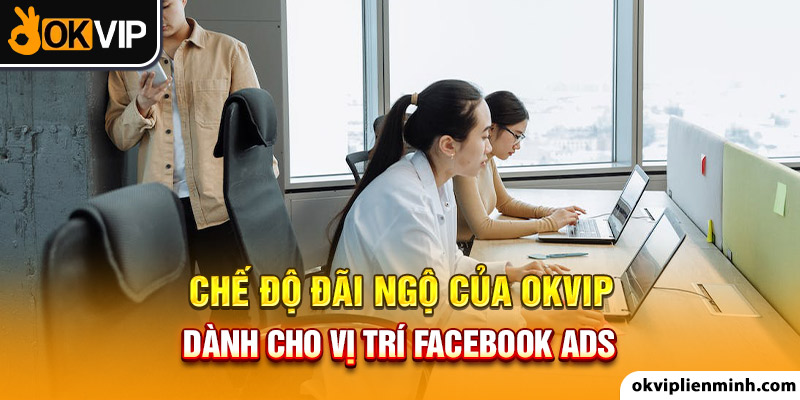 Chế độ đãi ngộ của OKVIP dành cho vị trí facebook ads