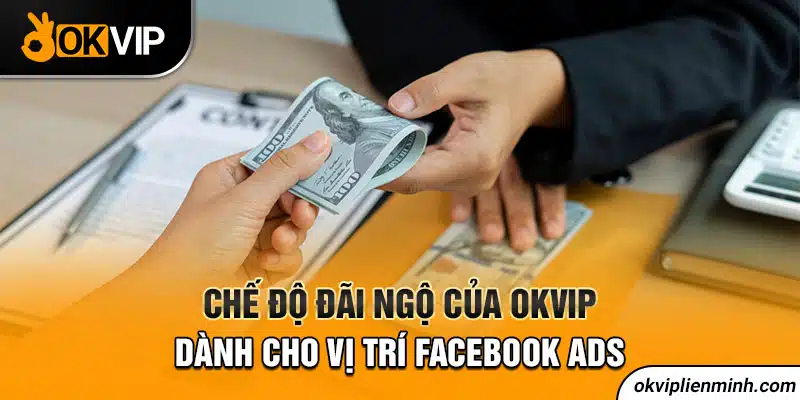 Chế độ đãi ngộ của OKVIP dành cho vị trí facebook ads