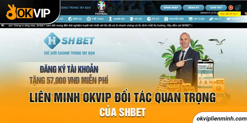 Giới thiệu liên minh OKVIP đối tác quan trọng của SHBET