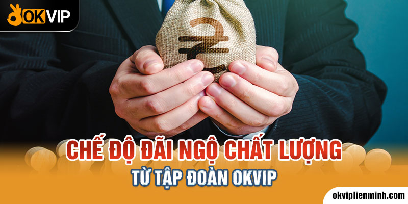 Chế độ đãi ngộ chất lượng từ tập đoàn OKVIP